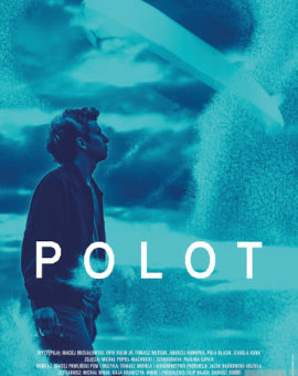 Polot