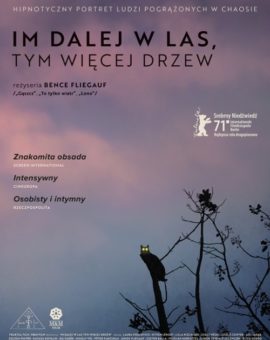 Im dalej w las, tym więcej drzew