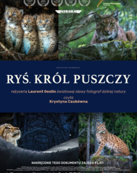 Ryś. Król puszczy